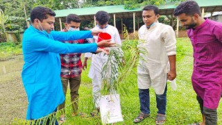 মনোহরদীতে ছাত্রলীগের বৃক্ষরোপণ