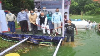 দেশের চাহিদা মিটিয়ে রপ্তানির মাধ্যমে অর্থনীতিতে বড় ভূমিকা রাখবে মাছ: মৎস্য ও প্রাণিসম্পদ মন্ত্রী