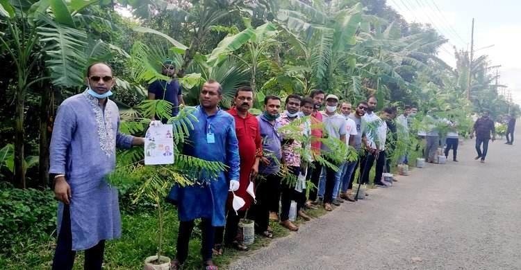 পলাশে যুবলীগের বৃক্ষরোপণ কর্মসূচি পালন পলাশে যুবলীগের বৃক্ষরোপণ কর্মসূচি পালন