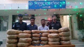 শিবপুরে ৭৬ কেজি গাঁজা ও ১২৯০ পিস ইয়াবাসহ দুইজন গ্রেফতার