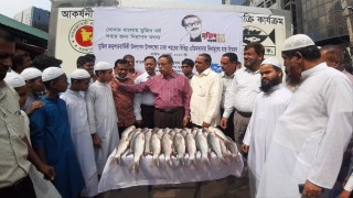 মুজিববর্ষ উপলক্ষে দরিদ্রদের মধ্যে মাছ বিতরণ ও দুধ পান কর্মসূচী