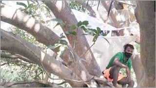 ট্রি কোয়ারেন্টিনে ভারতের ৭ যুবক!