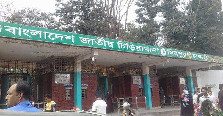 করোনাভাইরাসের বিস্তার রোধে জাতীয় চিড়িয়াখানা ৩১ মার্চ পর্যন্ত বন্ধ থাকবে করোনাভাইরাসের বিস্তার রোধে জাতীয় চিড়িয়াখানা ৩১ মার্চ পর্যন্ত বন্ধ থাকবে