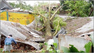 আম্ফানে লন্ডভন্ড ভারতের পশ্চিমবঙ্গে অন্তত ৭২ জনের মৃত্যু