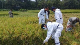 শিবপুরে ধানকাটায় শ্রমিকদেরকে উৎসাহ দিতে কাস্তে হাতে পুলিশ শিবপুরে ধানকাটায় শ্রমিকদেরকে উৎসাহ দিতে কাস্তে হাতে পুলিশ