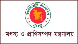 ঘূর্ণিঝড় ‘আম্পান’ মোকাবিলায় কর্ট্রোল রুম চালু করেছে মৎস্য ও প্রাণিসম্পদ মন্ত্রণালয় ঘূর্ণিঝড় ‘আম্পান’ মোকাবিলায় কর্ট্রোল রুম চালু করেছে মৎস্য ও প্রাণিসম্পদ মন্ত্রণালয়