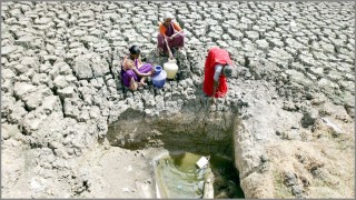 করোনাভাইরাসের উৎস ভারত-বাংলাদেশ, দাবি চীনা বিজ্ঞানীদের