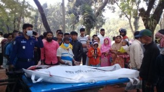 শিবপুরে পিকআপ ভ্যানের চাপায় সিএনজি যাত্রীর মৃত্যু