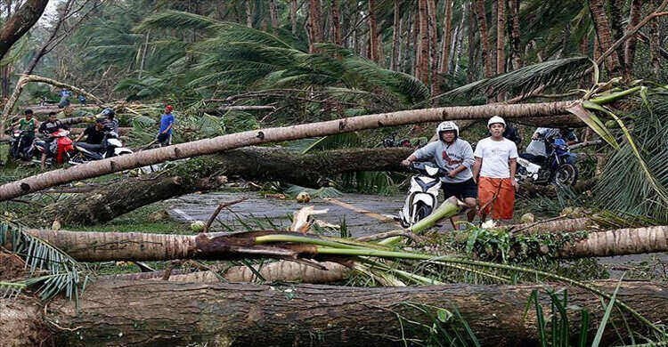 ভিয়েতনামে ঘূর্ণিঝড় ভূমিধসে ১৩ জনের মৃত্যু ভিয়েতনামে ঘূর্ণিঝড় ভূমিধসে ১৩ জনের মৃত্যু