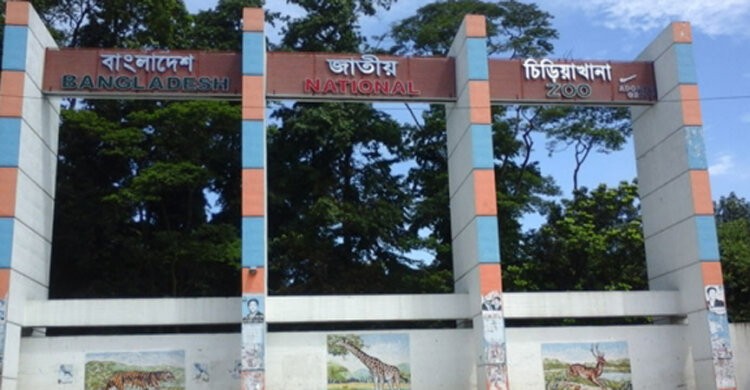 বিনামূল্যে দর্শনার্থীদের জন্য উন্মুক্ত থাকবে জাতীয় চিড়িয়াখানা বিনামূল্যে দর্শনার্থীদের জন্য উন্মুক্ত থাকবে জাতীয় চিড়িয়াখানা