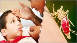 যেসব লক্ষণ দেখে বুঝবেন শিশুর ডেঙ্গু হয়েছে কি না...