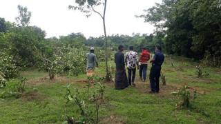 শিবপুরে জমি সংক্রান্ত বিরোধের জেরে গাছ কর্তনের অভিযোগ