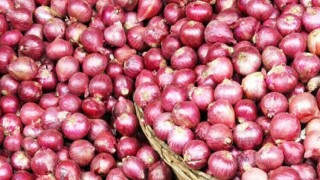 ভারতীয় পেঁয়াজ আসায় কমছে দাম, ক্রেতা নেই বাজারে