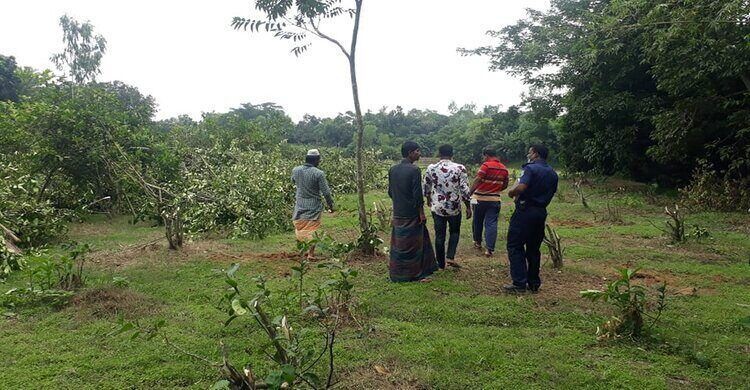 শিবপুরে জমি সংক্রান্ত বিরোধের জেরে গাছ কর্তনের অভিযোগ শিবপুরে জমি সংক্রান্ত বিরোধের জেরে গাছ কর্তনের অভিযোগ