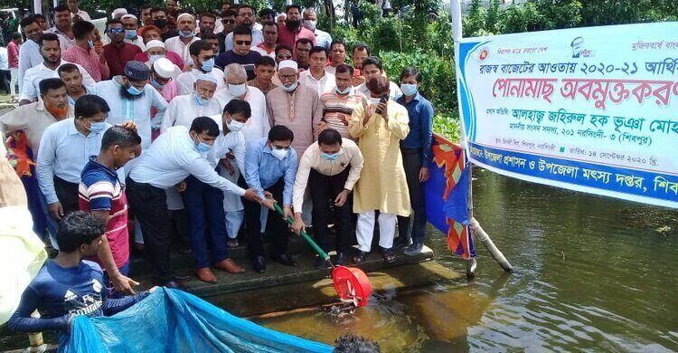 শিবপুরে জলাশয়ে পোনামাছ অবমুক্ত শিবপুরে জলাশয়ে পোনামাছ অবমুক্ত