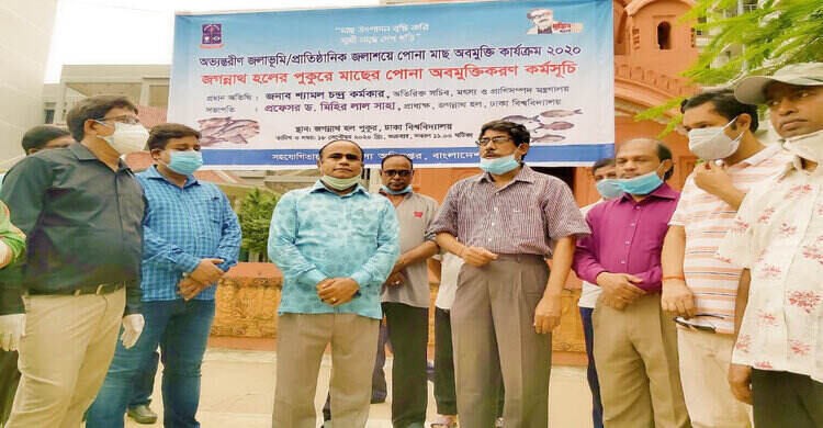 জগন্নাথ হল পুকুরে ও ঢাকেশ্বরী মন্দির পুকুরে মাছের পোনা অবমুক্ত জগন্নাথ হল পুকুরে ও ঢাকেশ্বরী মন্দির পুকুরে মাছের পোনা অবমুক্ত