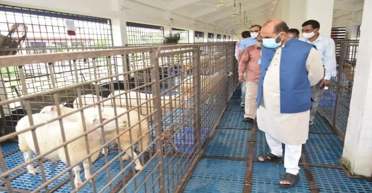 প্রাণিসম্পদের উন্নত প্রজাতি প্রত্যন্ত অঞ্চলে ছড়িয়ে দিতে কাজ করছে সরকার: প্রাণিসম্পদ মন্ত্রী প্রাণিসম্পদের উন্নত প্রজাতি প্রত্যন্ত অঞ্চলে ছড়িয়ে দিতে কাজ করছে সরকার: প্রাণিসম্পদ মন্ত্রী