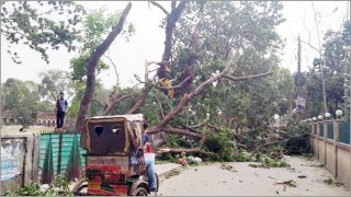 কালবৈশাখী ঝড়ে গাইবান্ধা, ফরিদপুর ও কুষ্টিয়ায় ১১ জনের মৃত্যু কালবৈশাখী ঝড়ে গাইবান্ধা, ফরিদপুর ও কুষ্টিয়ায় ১১ জনের মৃত্যু