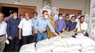 রায়পুরায় ৬৫০ কৃষক পেলো কৃষি প্রণোদনা