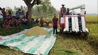 রায়পুরায় যান্ত্রিকভাবে ধান কাটা কার্যক্রমের উদ্বোধন রায়পুরায় যান্ত্রিকভাবে ধান কাটা কার্যক্রমের উদ্বোধন