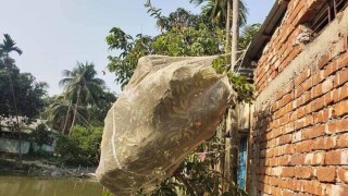 মাধবদীতে লিচুগাছে বিদ্যুৎ সংযোগ, বিদ্যুতায়িত হয়ে কিশোরের মৃত্যু মাধবদীতে লিচুগাছে বিদ্যুৎ সংযোগ, বিদ্যুতায়িত হয়ে কিশোরের মৃত্যু