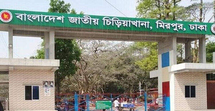 করোনা সংক্রমণ রোধে বন্ধ থাকবে জাতীয় চিড়িয়াখানা করোনা সংক্রমণ রোধে বন্ধ থাকবে জাতীয় চিড়িয়াখানা