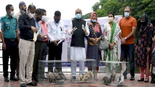 জাতীয় চিড়িয়াখানাকে আধুনিক ও বিশ্বমানে রুপান্তর করা হবে: মৎস্য ও প্রাণিসম্পদ মন্ত্রী জাতীয় চিড়িয়াখানাকে আধুনিক ও বিশ্বমানে রুপান্তর করা হবে: মৎস্য ও প্রাণিসম্পদ মন্ত্রী