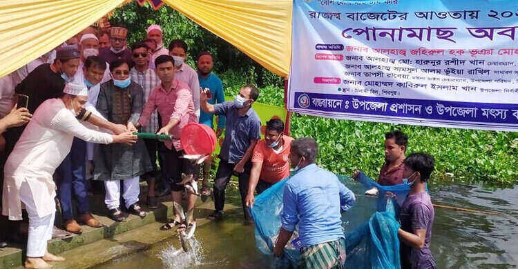 শিবপুরে পোনা মাছ অবমুক্তকরণ ও মাসিক আইনশৃঙ্খলা সভা শিবপুরে পোনা মাছ অবমুক্তকরণ ও মাসিক আইনশৃঙ্খলা সভা