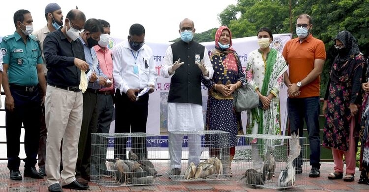জাতীয় চিড়িয়াখানাকে আধুনিক ও বিশ্বমানে রুপান্তর করা হবে: মৎস্য ও প্রাণিসম্পদ মন্ত্রী জাতীয় চিড়িয়াখানাকে আধুনিক ও বিশ্বমানে রুপান্তর করা হবে: মৎস্য ও প্রাণিসম্পদ মন্ত্রী