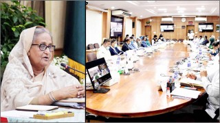 ইউনানি-আয়ুর্বেদিক চিকিৎসার বিষয়ে নতুন আইন মন্ত্রিসভায় অনুমোদন