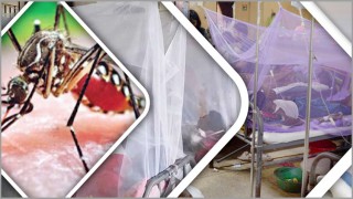 চলতি বছর ডেঙ্গুতে ১০০ জনের মৃত্যু, আক্রান্ত ২৭ হাজার ৭৭৯