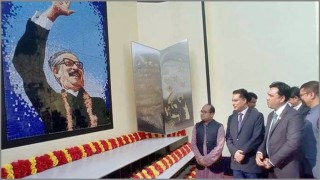 নরসিংদীতে বঙ্গবন্ধু ম্যুরাল ও ভাষা শহীদ স্মৃতিস্তম্ভ উদ্বোধন