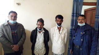 শিবপুরে গাঁজাসহ দুই মাদক ব্যবসায়ী আটক