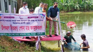 শিবপুরে পোনা মাছ অবমুক্তকরণ
