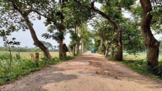 মনোহরদীতে আঞ্চলিক সড়কের বেহাল দশা, দুর্ভোগে ৩ ইউনিয়নবাসী মনোহরদীতে আঞ্চলিক সড়কের বেহাল দশা, দুর্ভোগে ৩ ইউনিয়নবাসী