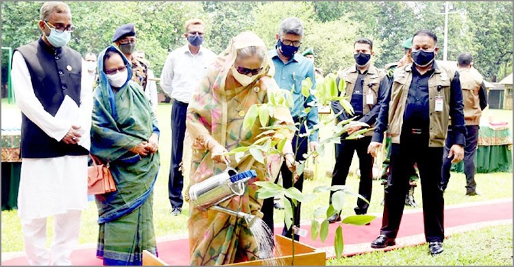 যার যেখানে যতটুকু জায়গা আছে সেখানেই গাছ লাগাতে প্রধানমন্ত্রীর আহ্বান যার যেখানে যতটুকু জায়গা আছে সেখানেই গাছ লাগাতে প্রধানমন্ত্রীর আহ্বান
