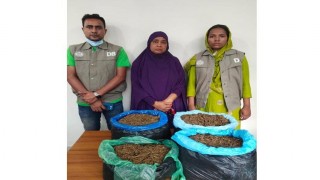 নরসিংদীতে ৭ কেজি গাঁজাসহ নারী আটক