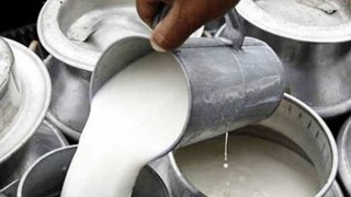 আগামীকাল বিশ্ব দুগ্ধ দিবস