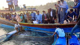 শীতলক্ষ্যায় ভাসমান খাঁচায় মাছ চাষ পরিদর্শনে তানজানিয়ার মন্ত্রী শীতলক্ষ্যায় ভাসমান খাঁচায় মাছ চাষ পরিদর্শনে তানজানিয়ার মন্ত্রী
