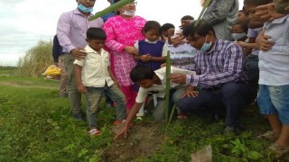 নরসিংদীতে শেখ রাসেল দিবস উপলক্ষে তালের চারা রোপন