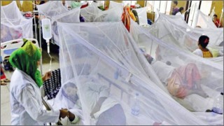 চলতি মাসের ১৭ দিনেই ৪৮৭২ জনের ডেঙ্গু শনাক্ত, মৃত্যু ১১