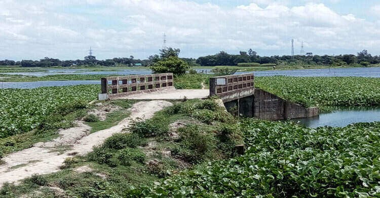 নরসিংদীতে সংযোগ সড়ক না থাকায় কাজে আসছে না দুই সেতু নরসিংদীতে সংযোগ সড়ক না থাকায় কাজে আসছে না দুই সেতু