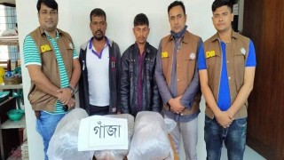 নরসিংদীতে ৮ কেজি গাঁজাসহ আটক ২