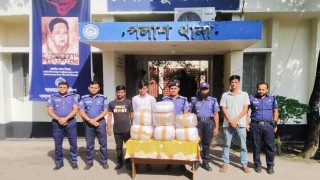 পলাশে ২৫ কেজি গাঁজাসহ দুইজন গ্রেপ্তার
