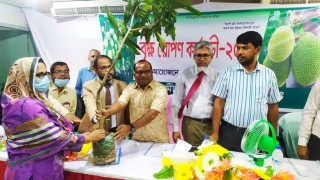 নরসিংদীতে ব্যাংক গ্রাহকদের মধ্যে গাছের চারা বিতরণ