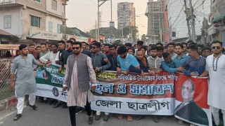 বিএনপি-জামায়াতের নৈরাজ্যের বিরুদ্ধে নরসিংদীতে ছাত্রলীগের বিক্ষোভ