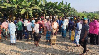 রায়পুরায় কলাবাগান থেকে অজ্ঞাত দুই ব্যক্তির মরদেহ উদ্ধার