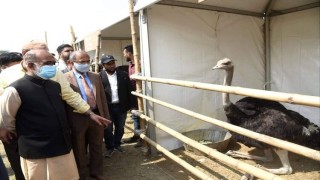 প্রাণিসম্পদ খাত হবে দেশের বৈদেশিক মুদ্রা অর্জনের অন্যতম খাত: মৎস্য ও প্রাণিসম্পদ মন্ত্রী প্রাণিসম্পদ খাত হবে দেশের বৈদেশিক মুদ্রা অর্জনের অন্যতম খাত: মৎস্য ও প্রাণিসম্পদ মন্ত্রী