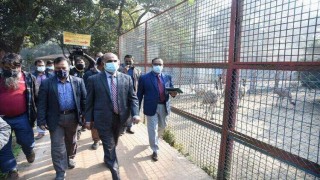 চিড়িয়াখানায় কোনরকম অনিয়ম, দুর্নীতি ও অব্যবস্থাপনা বরদাশত করা হবে না: মৎস্য ও প্রাণিসম্পদ মন্ত্রী চিড়িয়াখানায় কোনরকম অনিয়ম, দুর্নীতি ও অব্যবস্থাপনা বরদাশত করা হবে না: মৎস্য ও প্রাণিসম্পদ মন্ত্রী