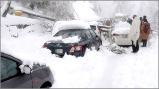 পাঞ্জাব প্রদেশে তীব্র তুষারপাত: গাড়িতে আটকে ২১ পর্যটকের মৃত্যু
